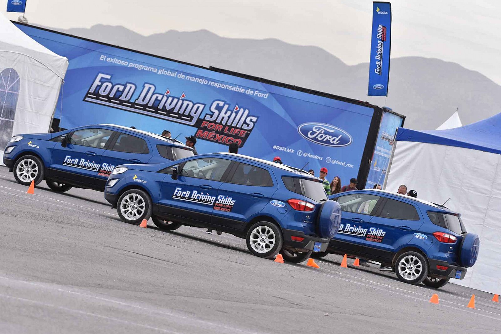 Ford DSFL Chihuahua - 2019