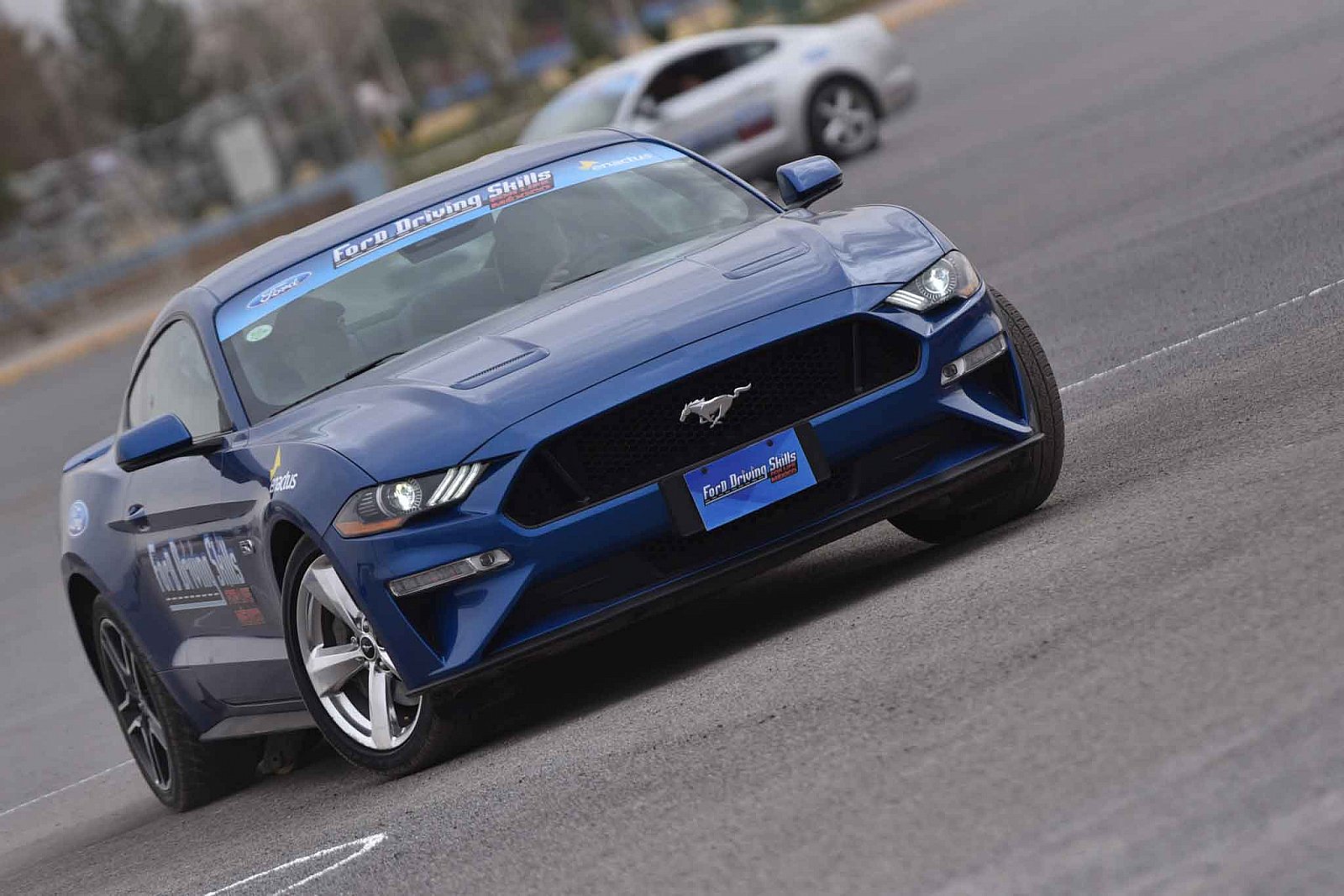 Ford DSFL Chihuahua - 2019