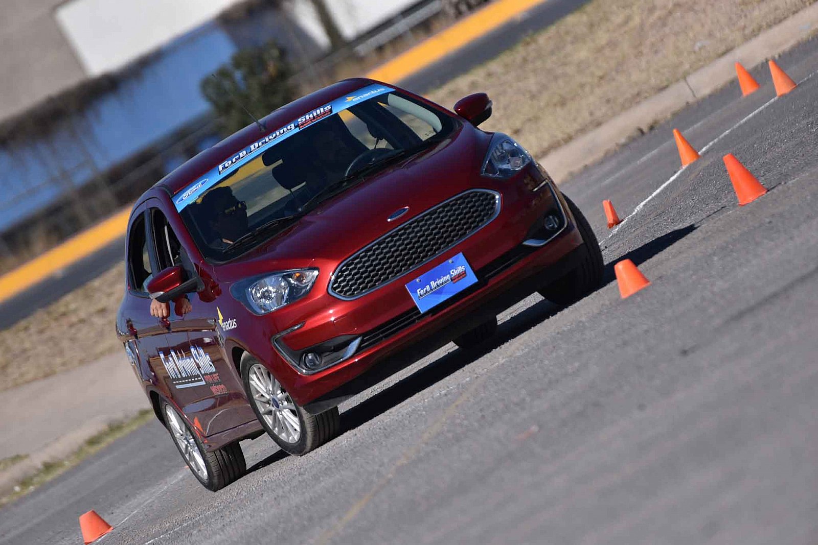 Ford DSFL Chihuahua - 2019