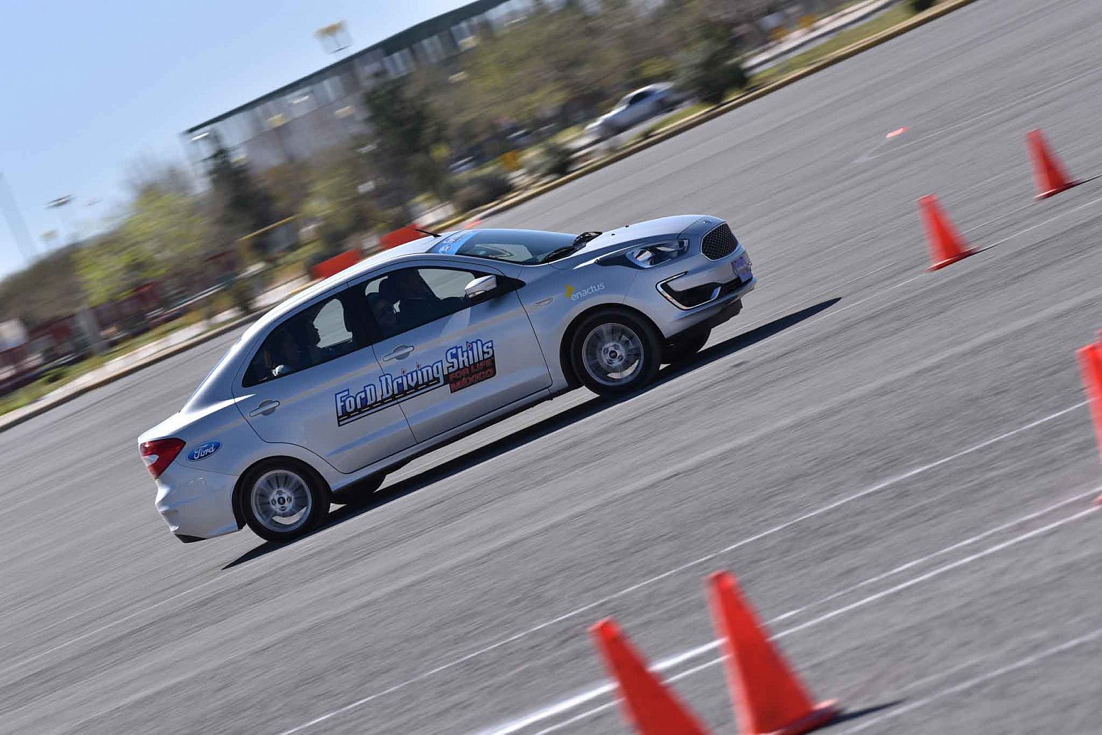 Ford DSFL Chihuahua - 2019