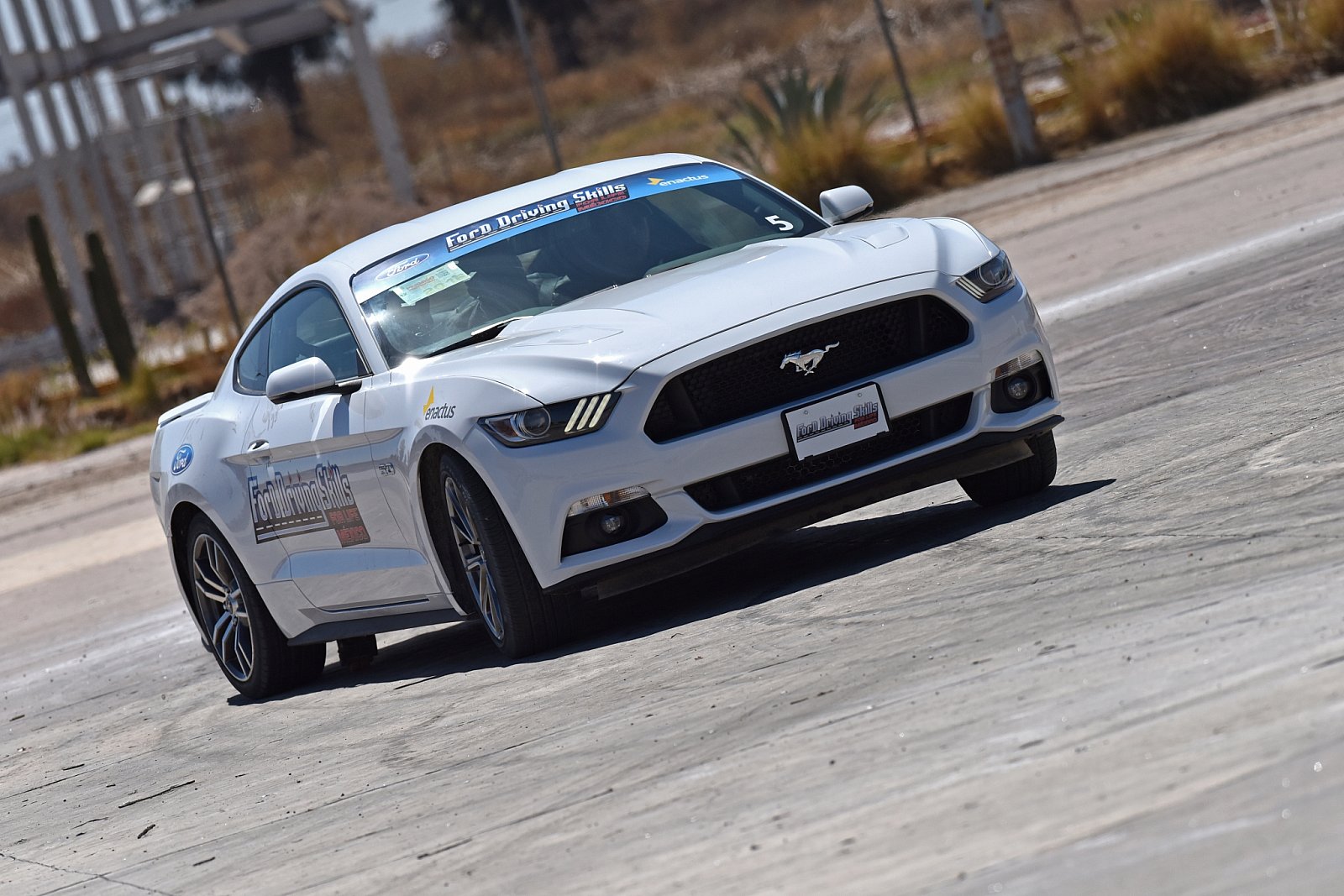 Ford DSFL México - Sede Irapuato 2017