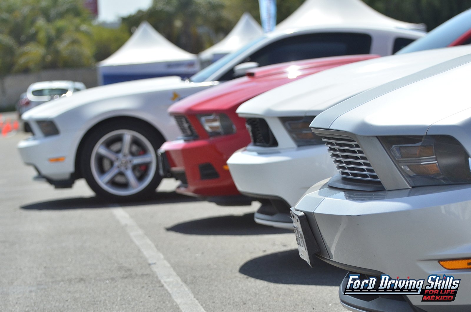 Ford DSFL México – Sede Guadalajara