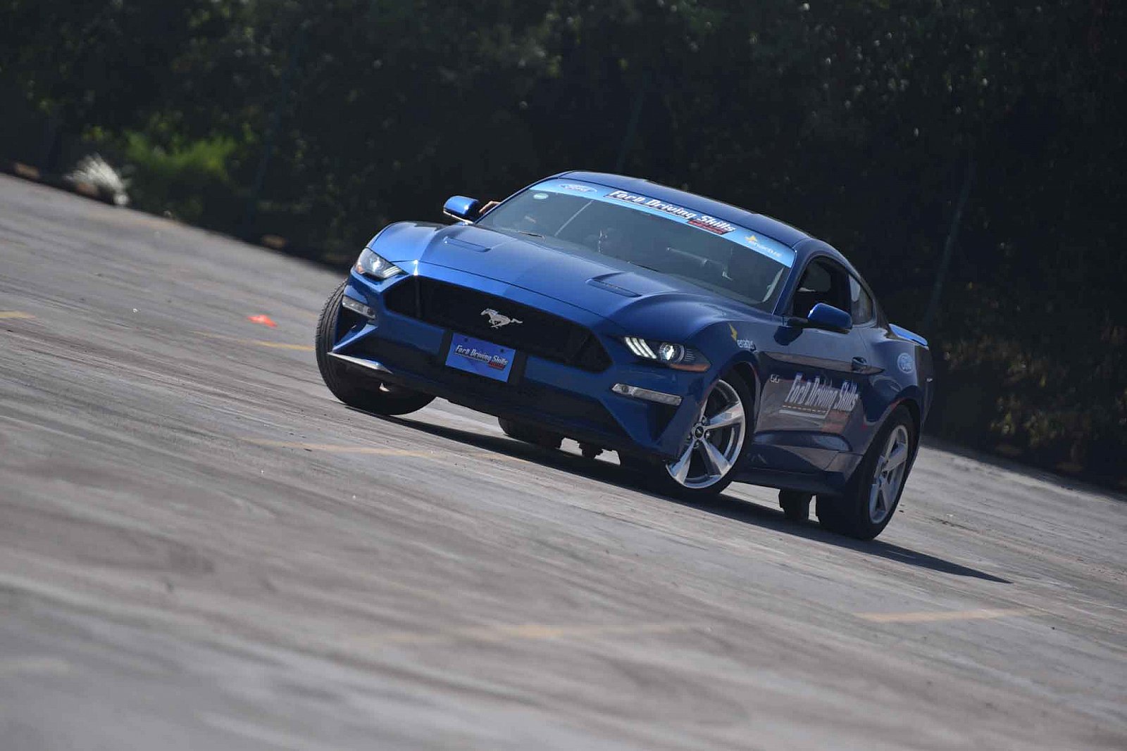 Ford DSFL Monterrey - 2019